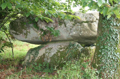 Dolmen de Guidfosse - dolmen near Plouray - France