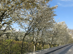Parc André Citroën - 