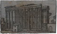 Musée des beaux-arts - 
