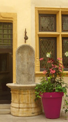 Musée Gadagne - 