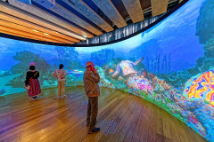 Musée des civilisations de l'Europe et de la Méditerranée - 