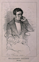 Muséum d'histoire naturelle - Félix-Archimède Pouchet. Reproduction of etching by L. Flameng.

Iconographic Collections
 Keywords: portrait prints; Félix Archimède Pouchet