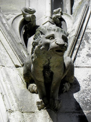 Cathédrale Saint-Étienne - 