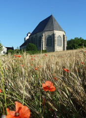 Eglise Saint-Crépin-Saint-Crépinien - 