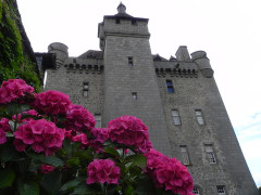 Château de Villemonteix - 