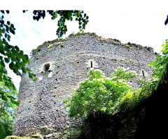 Donjon - 