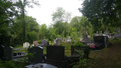 Cimetière de la Madeleine - 