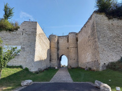 Ruines du château - 