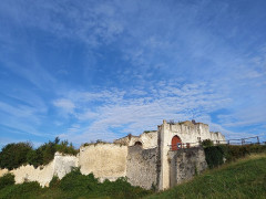 Ruines du château - 