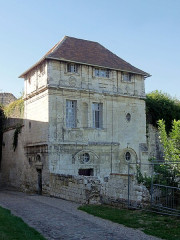 Ruines du château - 