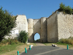 Ruines du château - 