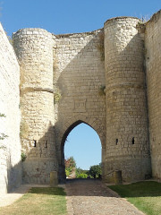 Ruines du château - 
