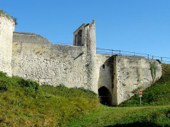 Ruines du château - 