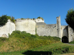 Ruines du château - 