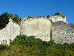 Ruines du château - 