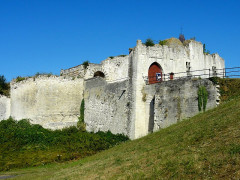Ruines du château - 