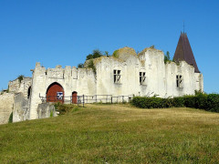 Ruines du château - 