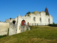 Ruines du château - 
