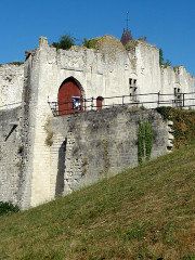 Ruines du château - 