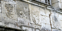 Ruines du château - 