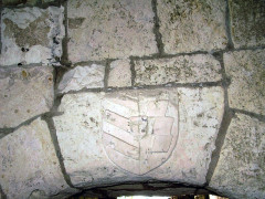 Ruines du château - 