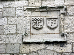 Ruines du château - 