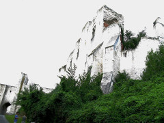 Ruines du château - 