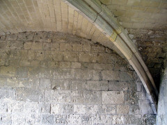 Ruines du château - 