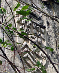 Ruines du château - 