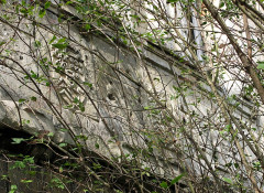 Ruines du château - 