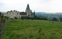 Ruines du château - 