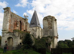 Ruines du château - 