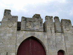 Ruines du château - 