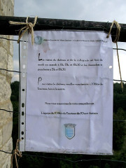 Ruines du château - 