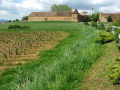 Domaine du château de Bagnols situé au Bourg - 