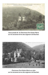 Chartreuse du Port-Sainte-Marie (également sur commune de Chapdes-Beaufort) - 