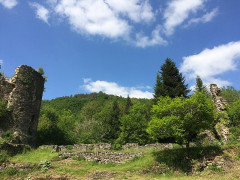 Chartreuse du Port-Sainte-Marie (également sur commune de Chapdes-Beaufort) - 