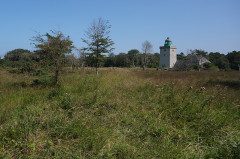 Phare d'Ailly - 