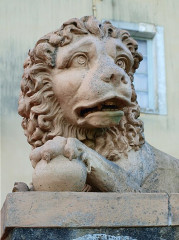 Musée Colette - 