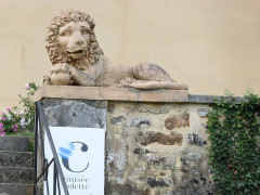 Musée Colette - 