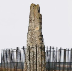 Menhir dit de la Haute-Borne, situé sur la montagne du Châtelet - 