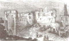 Ruines du château - 