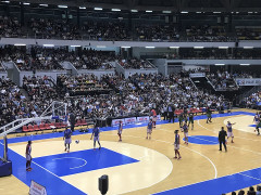 Palais des sports - 