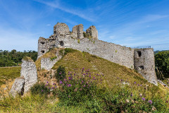 Ruines du château - German journalist, coach and Wikimedian