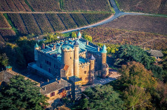 Château de Montmelas (également sur commune de Saint-Julien) - 