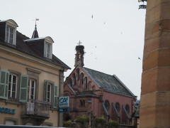 Ancien château impérial dit de Saint-Léon-Pfalz, ancien château des évêques de Strasbourg - 