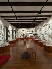 Muséum d'histoire naturelle Lecoq - 