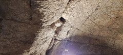 Ancienne abbaye de Montmajour - 