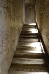 Ancienne abbaye de Montmajour - 