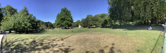 Parc Monceau - 